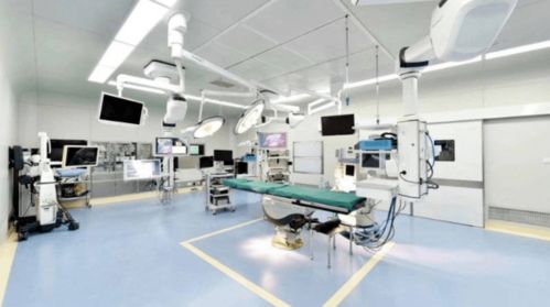 光谷4家公司13天內(nèi)密集IPO獲受理，駕考寶典領(lǐng)跑移動(dòng)互聯(lián)網(wǎng)技術(shù)開發(fā)領(lǐng)域